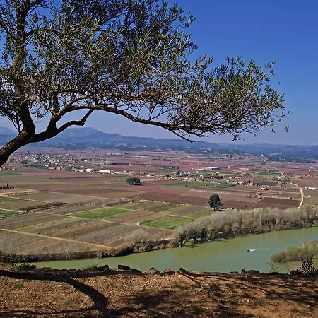 Apartment Ca La Maria Mora d'Ebre